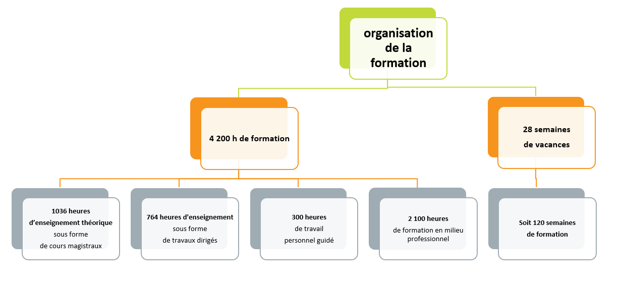 Shéma de présentation de la formation des manipulateurs d'electroradiologie médicale